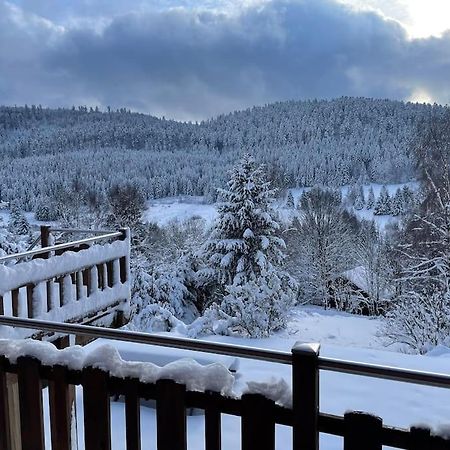 Chalet Situe Au Grand Valtin Villa Ban-sur-Meurthe-Clefcy Екстериор снимка
