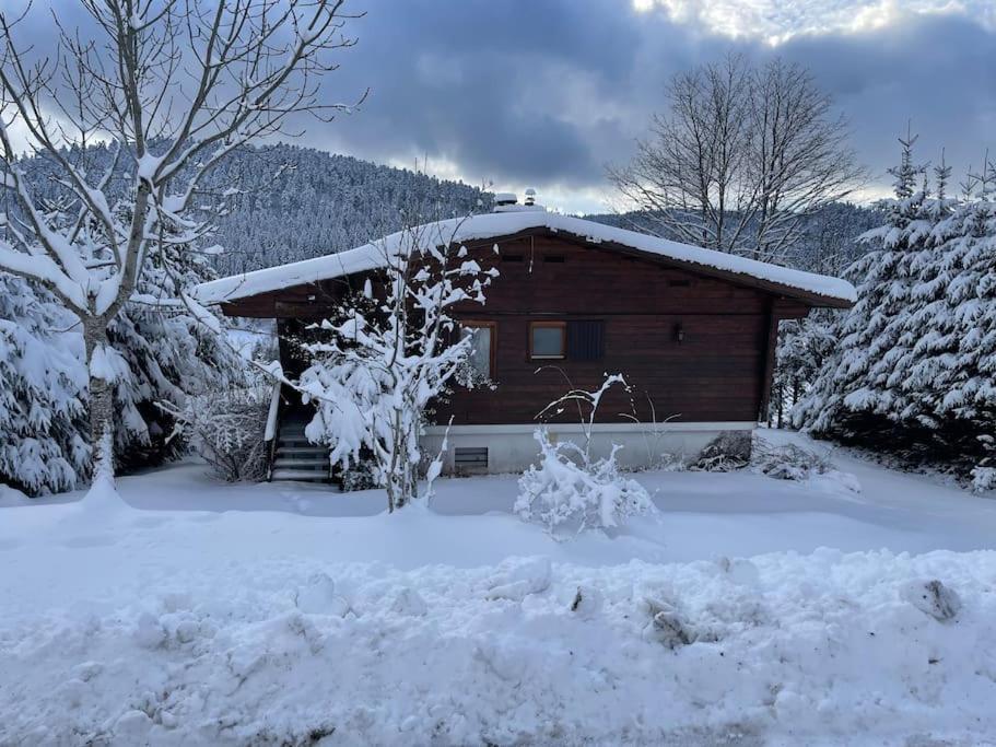 Chalet Situe Au Grand Valtin Villa Ban-sur-Meurthe-Clefcy Екстериор снимка