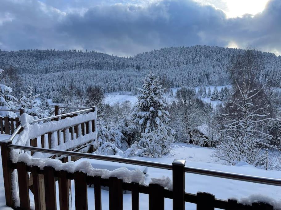 Chalet Situe Au Grand Valtin Villa Ban-sur-Meurthe-Clefcy Екстериор снимка